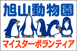 ���R�������}�C�X�^�[�{�����e�B�A